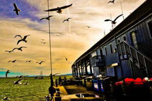 一手货源的cc攻击免费网页版