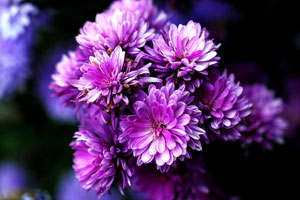 网站ddos隐藏源ip